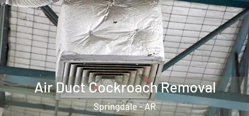 Air Duct Cockroach Removal Springdale - AR