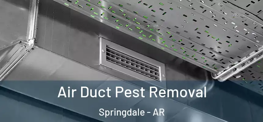 Air Duct Pest Removal Springdale - AR