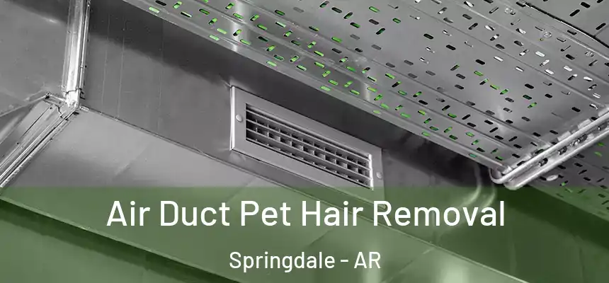 Air Duct Pet Hair Removal Springdale - AR
