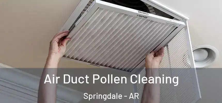 Air Duct Pollen Cleaning Springdale - AR