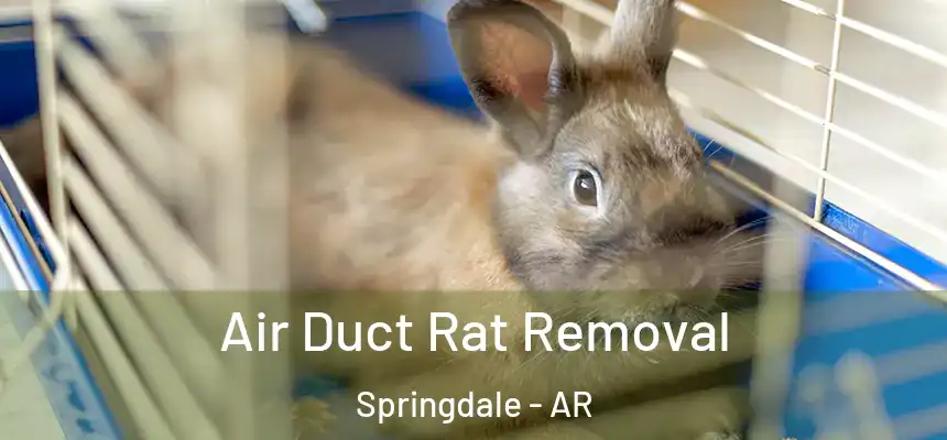 Air Duct Rat Removal Springdale - AR