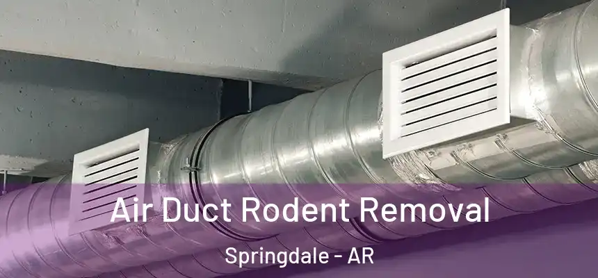 Air Duct Rodent Removal Springdale - AR