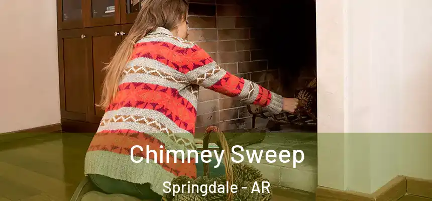 Chimney Sweep Springdale - AR