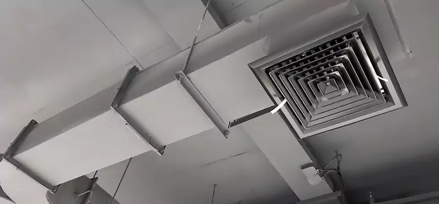 Restorative Allergy Relief Vent Cleaning – Coil, Blower & Housing Detail in Springdale