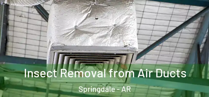 Insect Removal from Air Ducts Springdale - AR