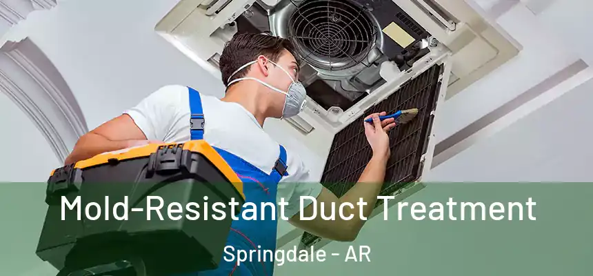 Mold-Resistant Duct Treatment Springdale - AR