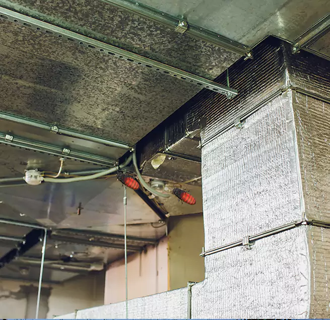 Why Homeowners & Businesses Trust Us in Springdale, AR?