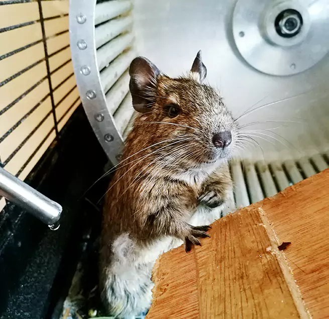 Why Homeowners & Businesses Trust Us Springdale, AR