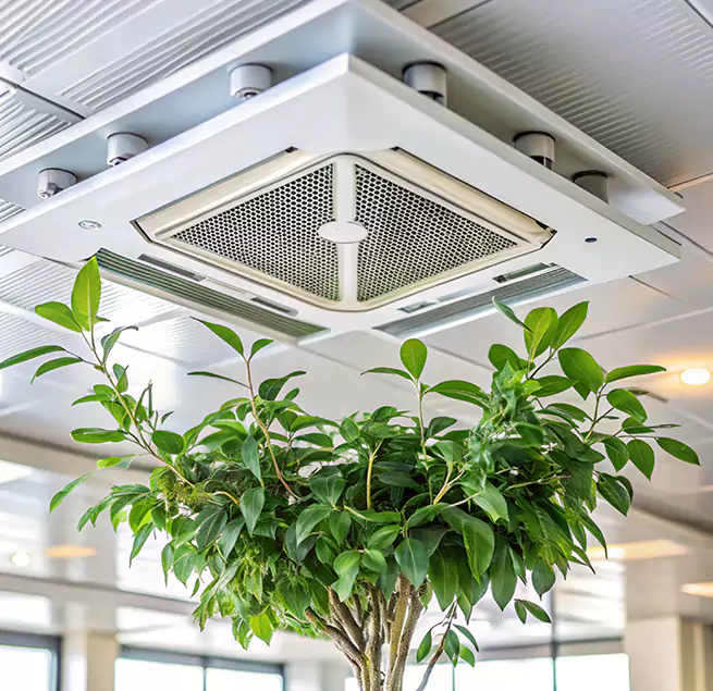 Why Homeowners & Businesses Trust Us in Springdale, AR?