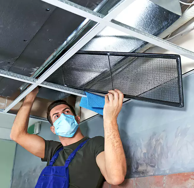 Why Homeowners Businesses Trust Us in Springdale, AR